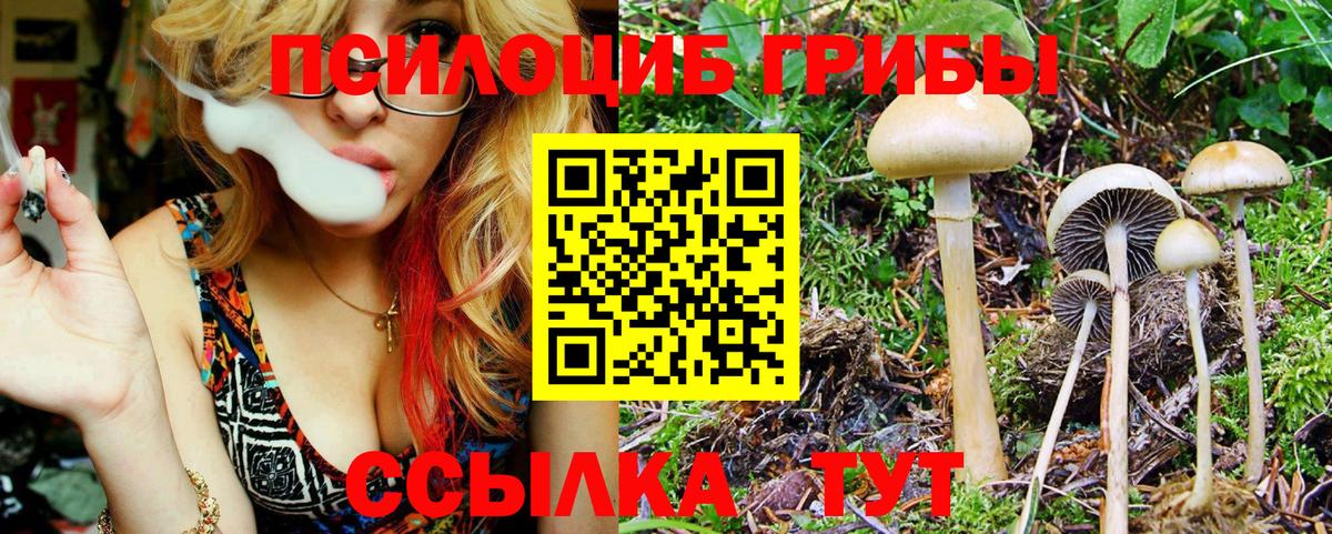 наркотики  Вход с VPN  Кострома  Псилоцибиновые грибы ЛСД 