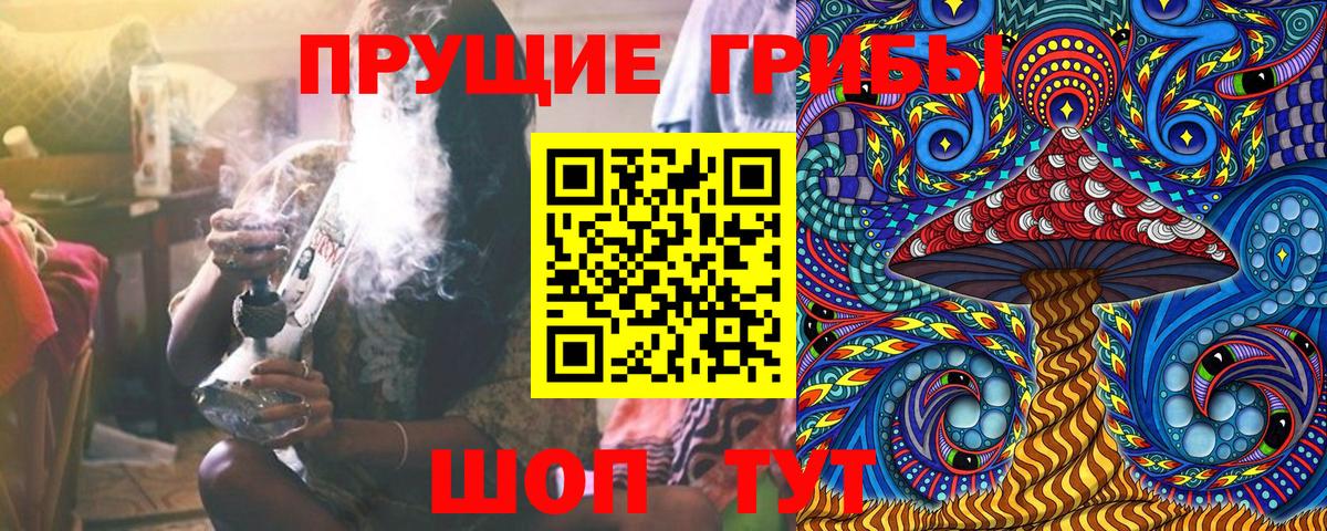 Псилоцибиновые грибы Cubensis Кострома